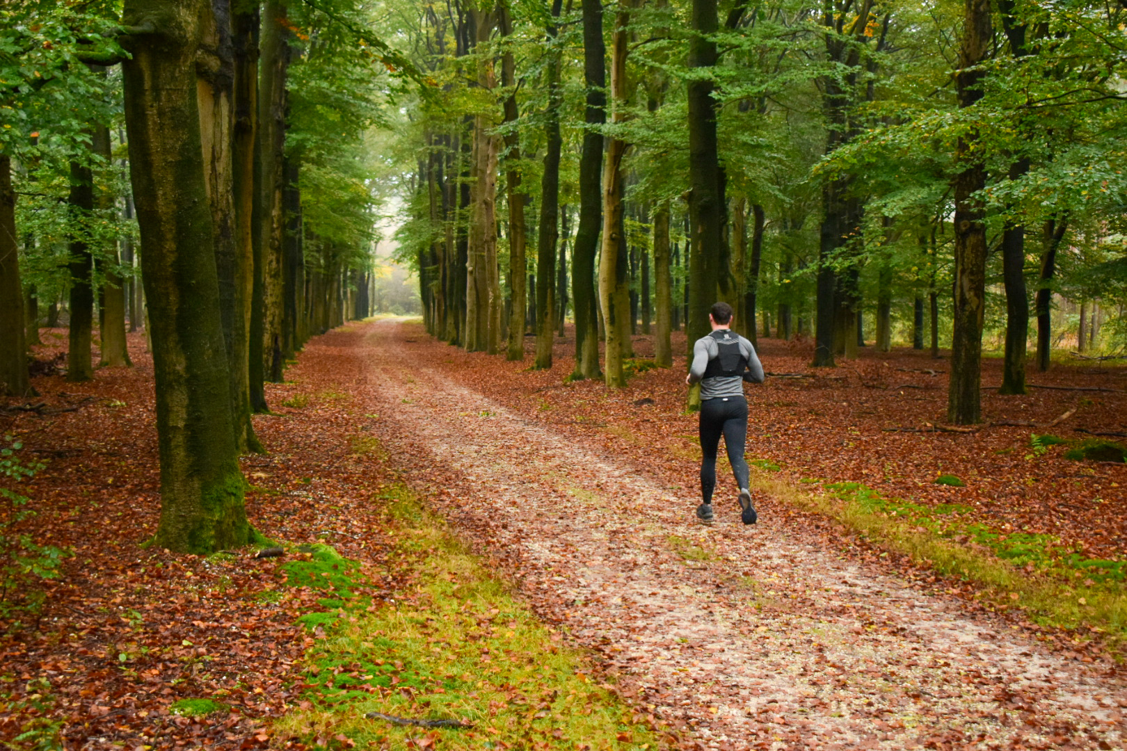 Wel Of Niet Eten Voor Het Hardlopen Trail Running